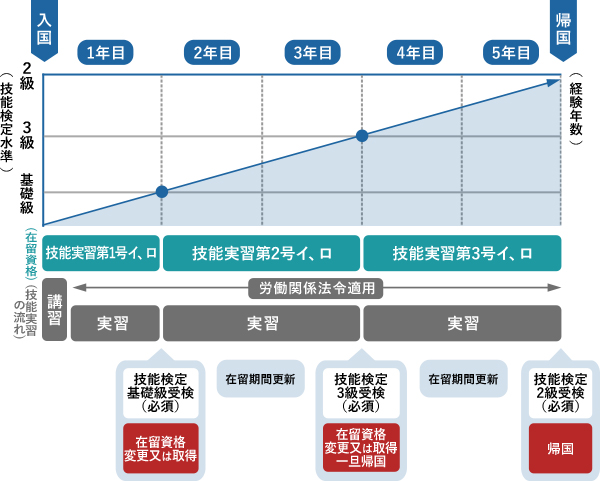 実習開始から帰国までの流れの表