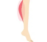 ワキ