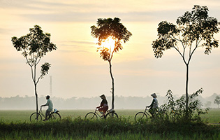 複数国からの送り出しが可能
