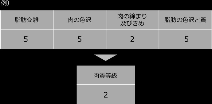 牛肉の味と品質を示す4つの基準