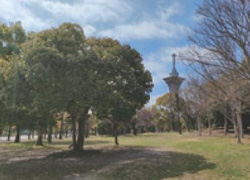 花博記念公園鶴見緑地