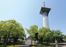 花博記念公園鶴見緑地